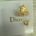 Women's Jewelry Earrings Accessories fashionable, versatile