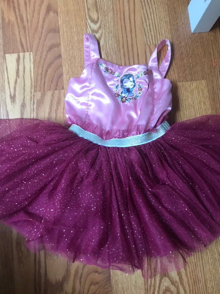 Disney Leotard