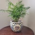 Leopard plant pot
