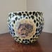 Leopard plant pot