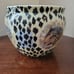 Leopard plant pot