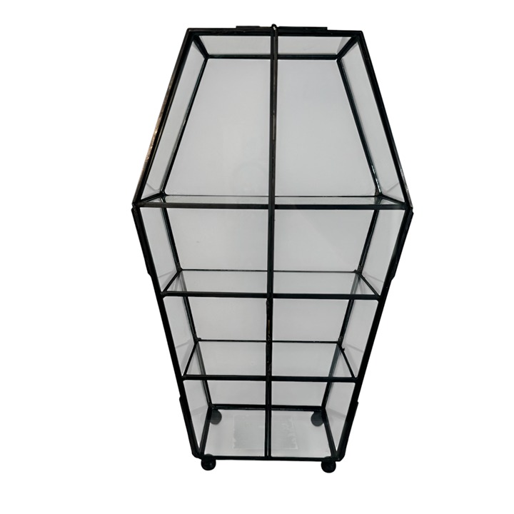 Black Copper & Glass Coffin Display Cabinet w/ Shelves Gothic Home Decor Vampire