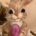 Needle felting by Karin
