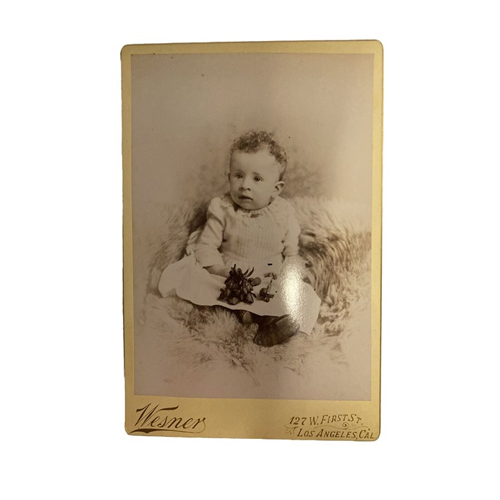 Antique Cabinet Card Victorian Baby Bearskin Rug Wesner Studio Fred Armisen