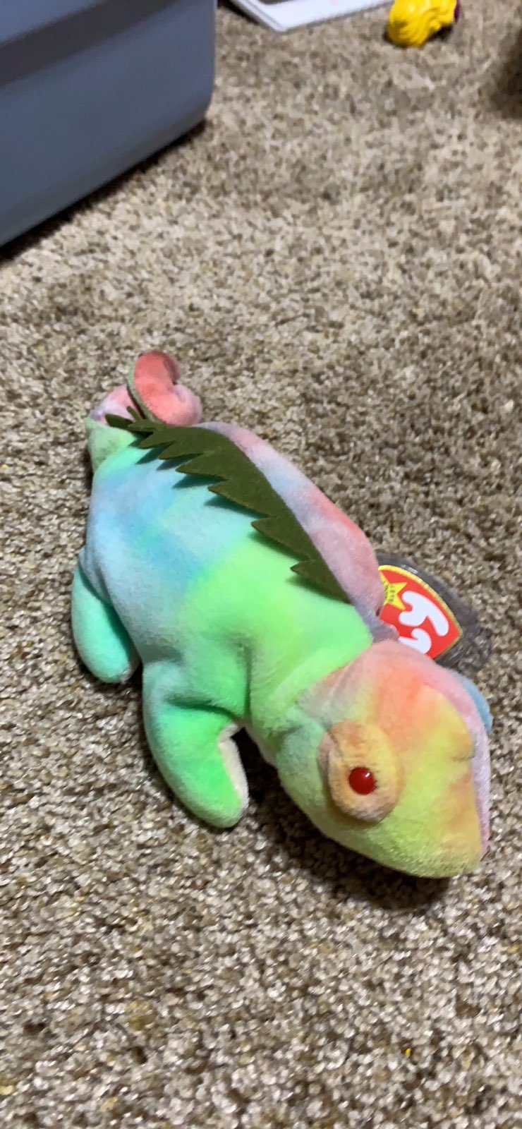 Iggy the iguana