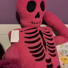 BNWT 5 foot Hot Pink Isaac Mizrahi Skeleton Pillow