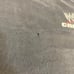 Vintage 2002 WWE Armageddon POV Torrie Wilson Wrestling Tee
