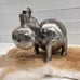 Cow Sculpture Brushed Welded Galvanized Iron Large Metal Art Metalwork
