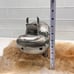 Cow Sculpture Brushed Welded Galvanized Iron Large Metal Art Metalwork