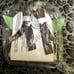 Disney Loungefly Star Wars The Mandalorian The Child Grogu Frog Mini Backpack