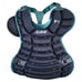 Vintage 2000s Devil Rays | Full Set PRO MLB Catchers Gear | READ DESCRIPTION