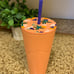 Starbucks Matte Pink Summer Tumbler 24 Fl. Oz.