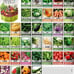 Survival Vegetable Seeds Garden Kit Over 16,000 Seeds Non-GMO and Heirloom
