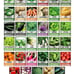Survival Vegetable Seeds Garden Kit Over 16,000 Seeds Non-GMO and Heirloom