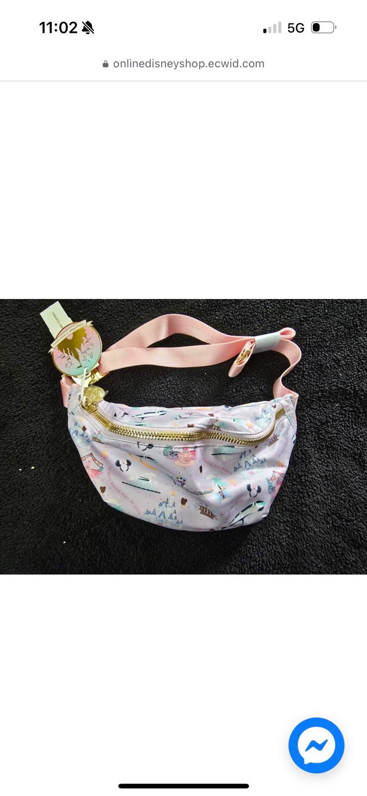 Walt Disney World Regular Size Fanny Pack by Stoney Clover Lane