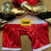 Boxer Pet Costume Dog Or Cat Size Xl