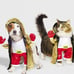 Boxer Pet Costume Dog Or Cat Size Xl