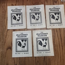The Feathered Warrior