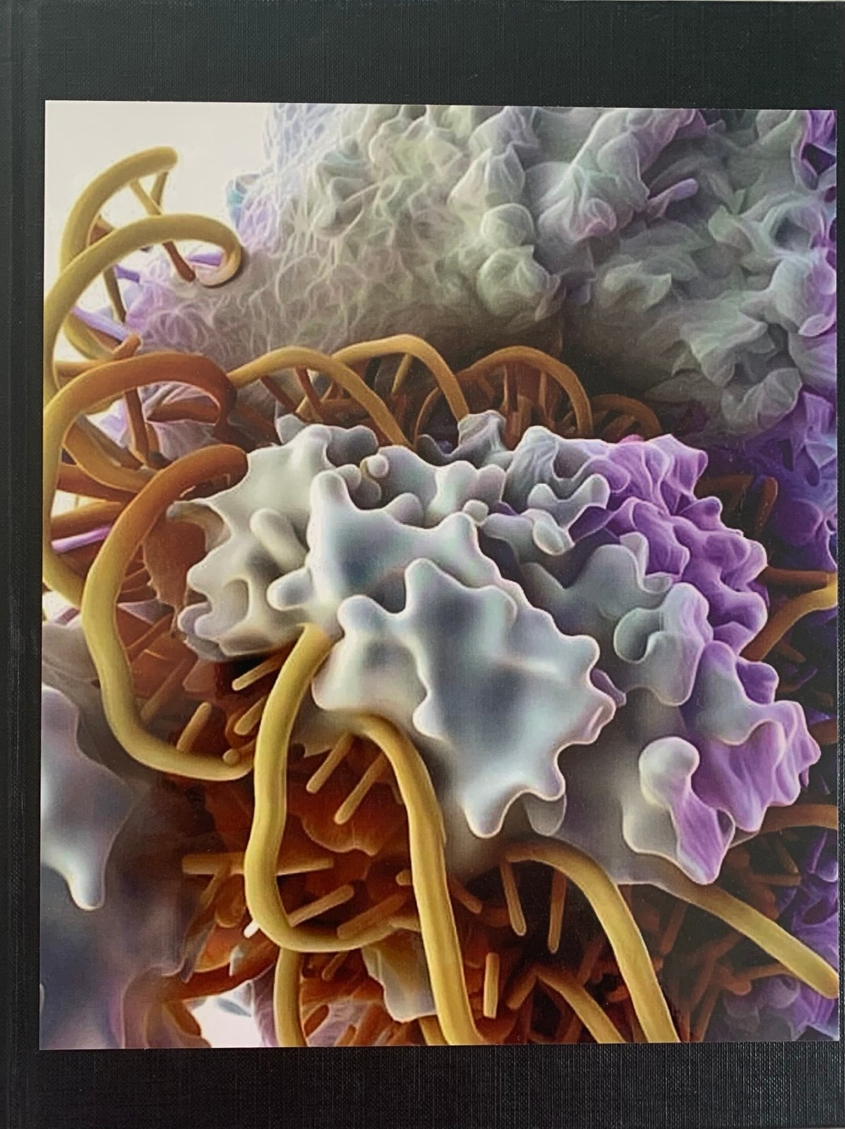 Springer Handbook of Nanotechnology Book 1