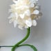 Flower Night Light, Fairy, Pixie