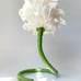 Flower Night Light, Fairy, Pixie