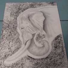 Pencil sketch art artwork drawing