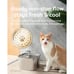 Innovation Award Winner Stainless Steel Cat Water Fountain, 95Oz/2.8L Automatic