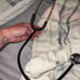 littmann stethoscope