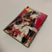 German version 4-book set Vampire Princess Miyu