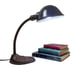 Vintage Gooseneck Lamp 1930s Eagle Lamp Co | Art Deco Cast Iron Desk Table Light