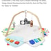 lovevery play gym & activity mat