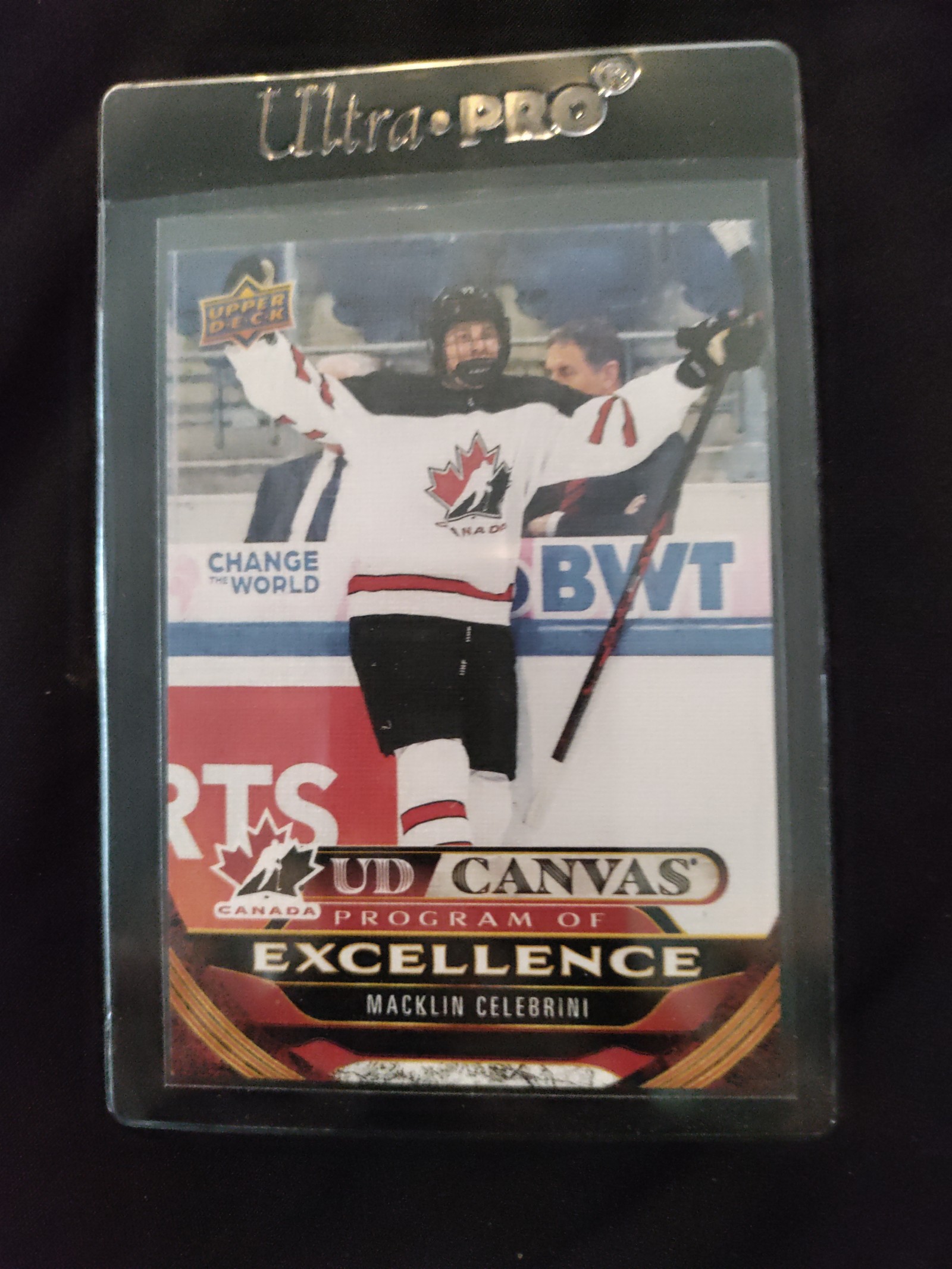 Macklin celebrini UD canvas BEAUTY RC