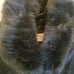 Michael Kors Fur Coat NWT XS