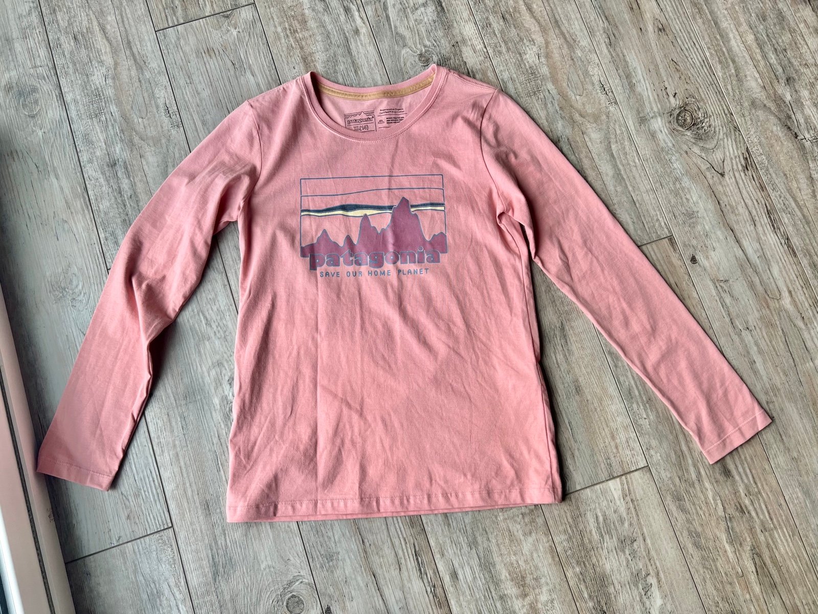 Patagonia Long Sleeve Regenerative Organic Certified Cotton Graphic Shirt