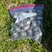 2010 Ford Mustang Rims and Lugnuts