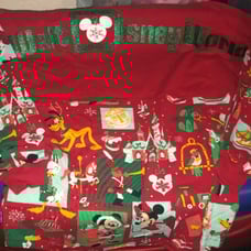 Disney World Magic Kingdom Christmas Spirit Jersey New S