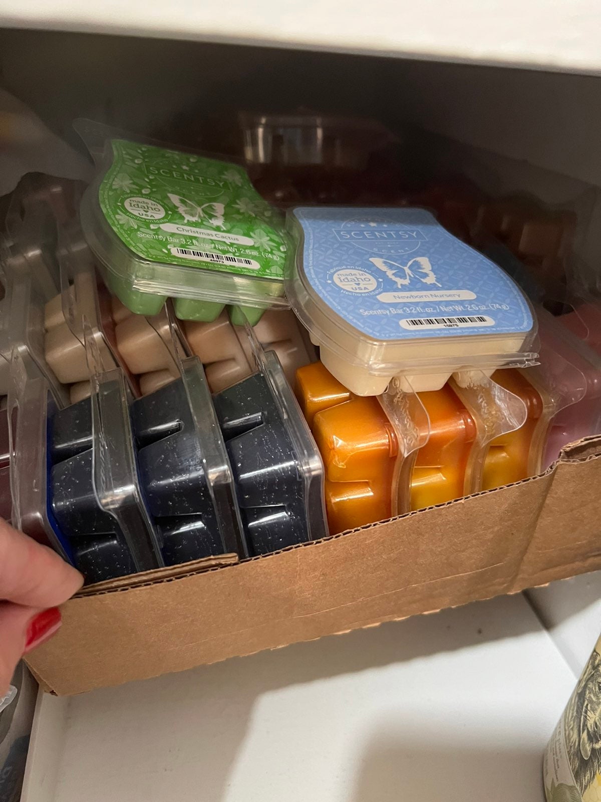 20 Random Scentsy bars