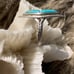 VINTAGE - Native Turquoise & Sterling Ring