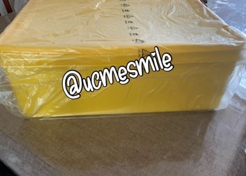 Tupperware Jumbo Storage Container