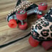 quad skates