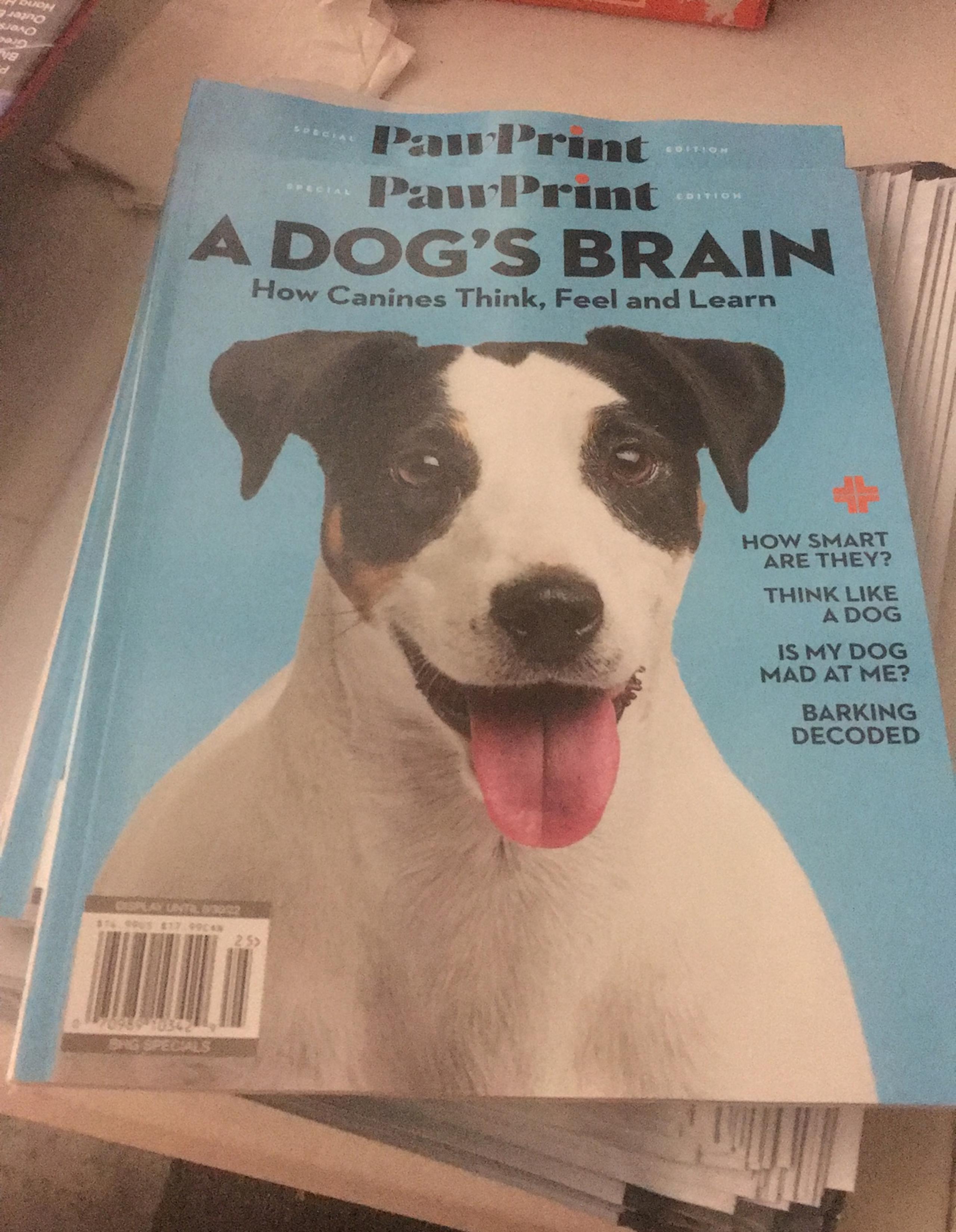 Paw print magazine