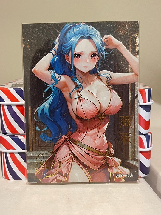 One Piece SLP 012 Vivi 021/338 Waifu Holo Anime Card ACG CCG
