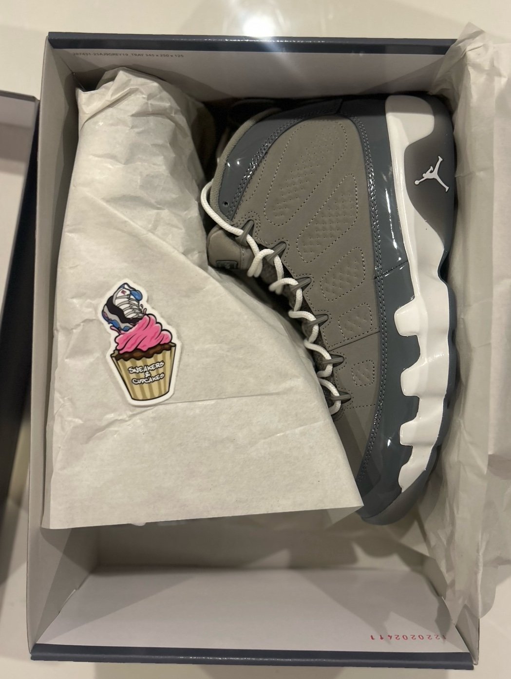 Jordan 9 Cool Grey 2025