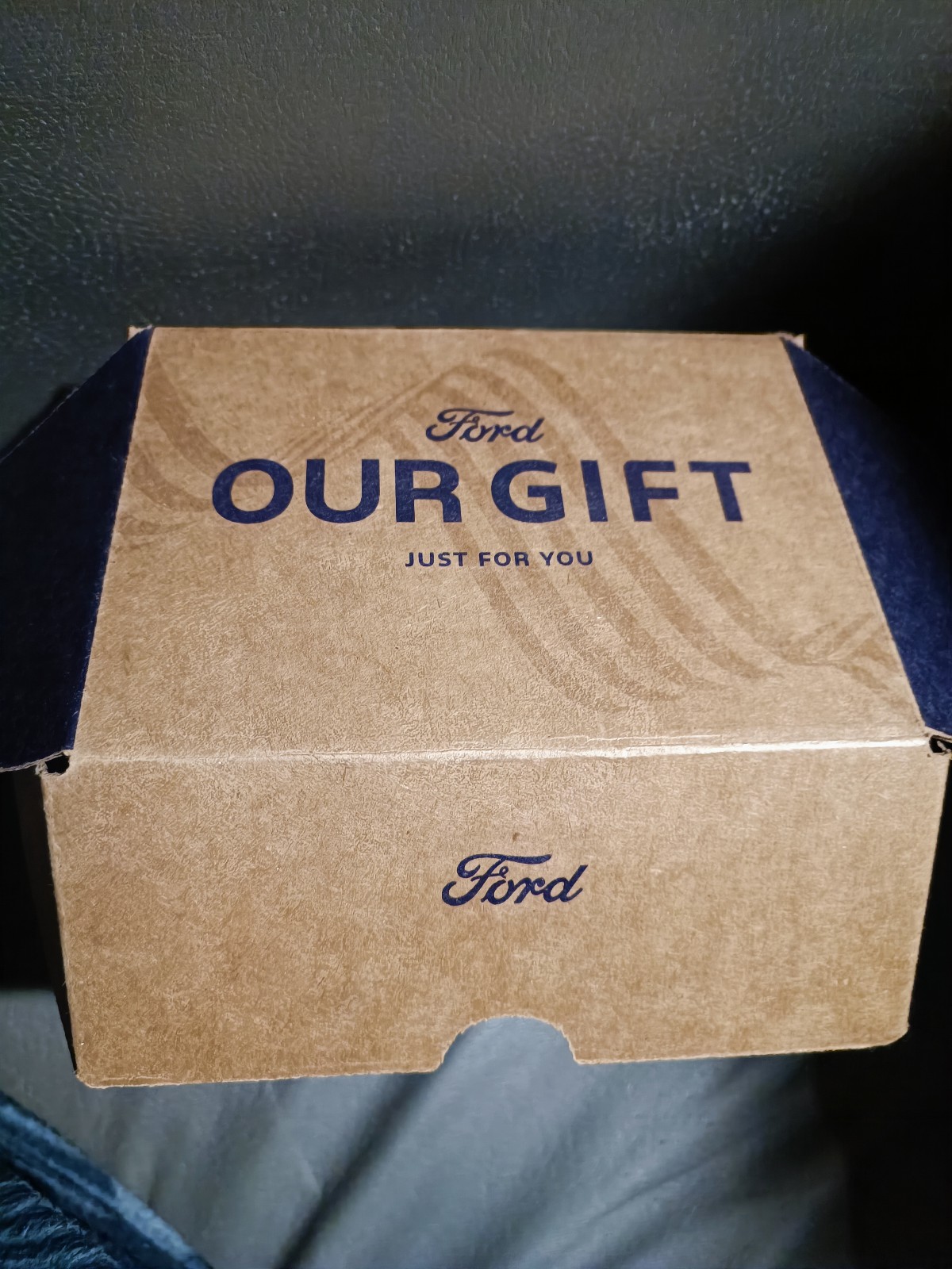 New Genuine Ford Level 3 Fast Charging NACS Adapter (Tesla Supercharger CCS)