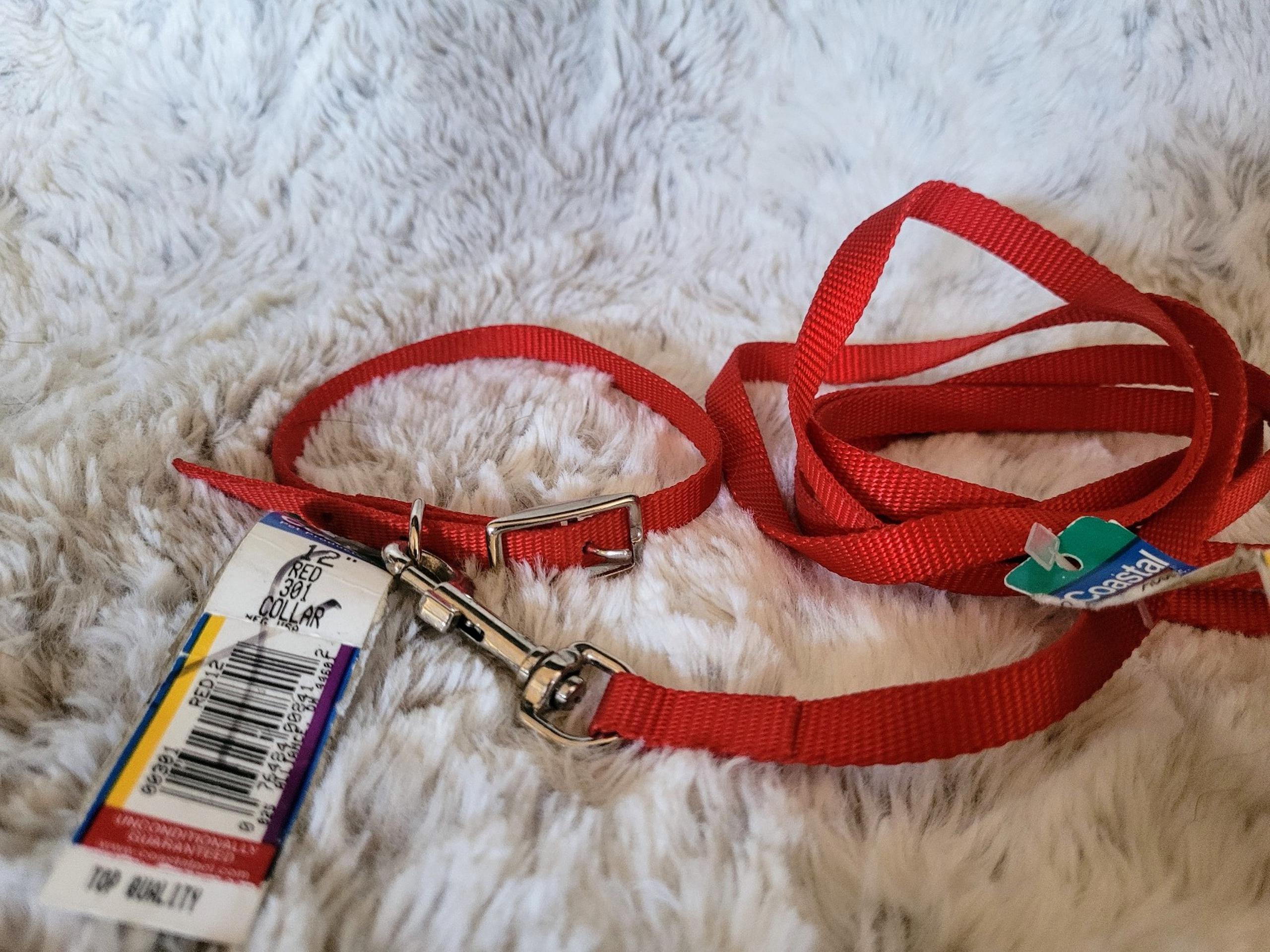 Dog Collar 12" Metal Buckle & 4' Leash Set RED Nylon XS Pet Puppy