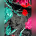 Steve Madden velvet crop top NWT size small