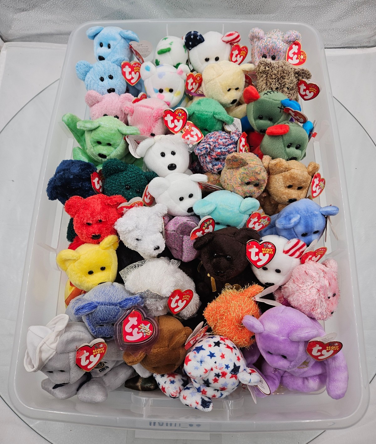 Ty Beanie Babies 37 Count Bears Lot (Retired)