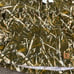 NEW timberland corduroy camo hoodie XS