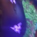 Razer mouse