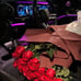 Red Roses